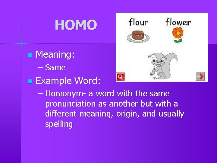 HOMO n Meaning: – Same n Example Word: – Homonym- a word with the HOMO n Meaning: – Same n Example Word: – Homonym- a word with the