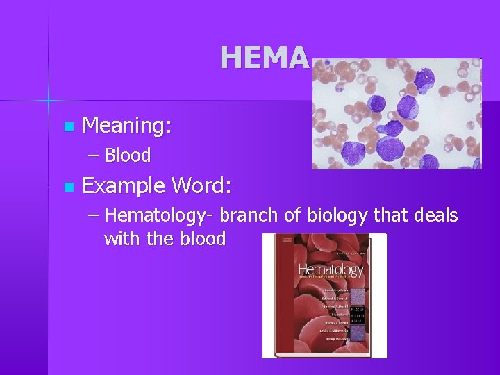 HEMA n Meaning: – Blood n Example Word: – Hematology- branch of biology that HEMA n Meaning: – Blood n Example Word: – Hematology- branch of biology that