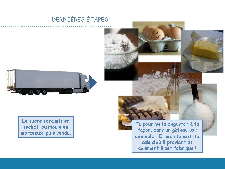 Un diaporama en SVT Primaire Le sucre du