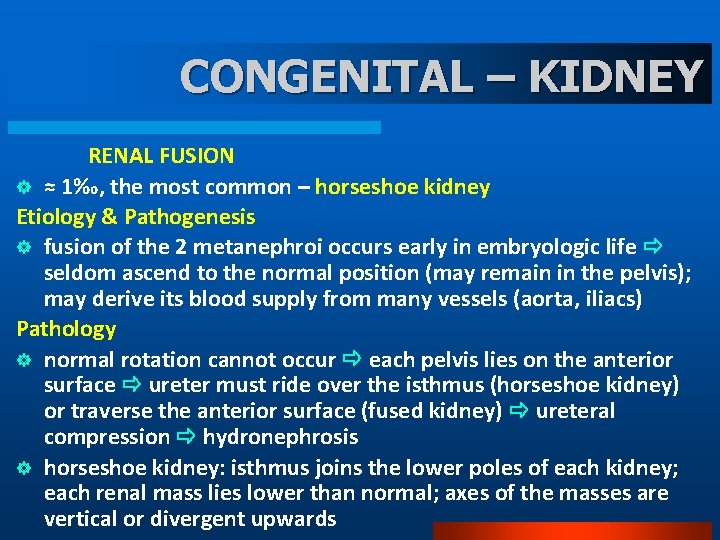 CONGENITAL – KIDNEY RENAL FUSION ] ≈ 1‰, the most common – horseshoe kidney