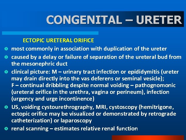 CONGENITAL – URETER ] ] ] ECTOPIC URETERAL ORIFICE most commonly in association with