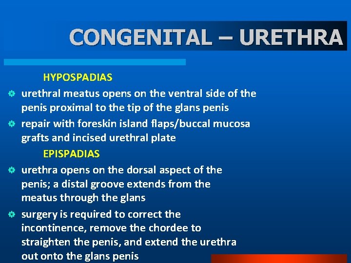 CONGENITAL – URETHRA ] ] HYPOSPADIAS urethral meatus opens on the ventral side of