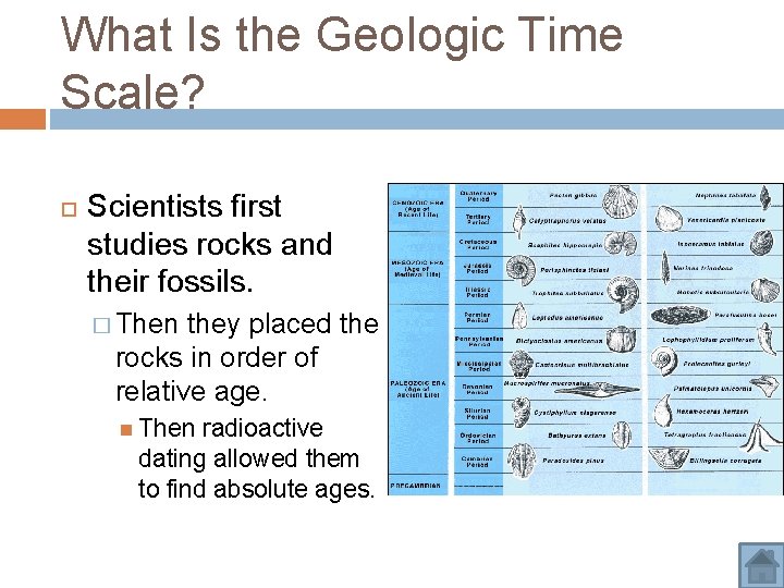 What Is the Geologic Time Scale? Scientists first studies rocks and their fossils. � What Is the Geologic Time Scale? Scientists first studies rocks and their fossils. �