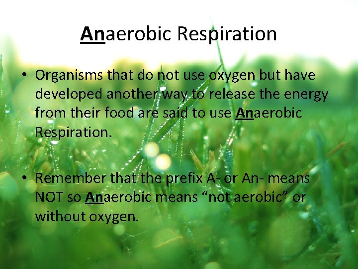 Anaerobic Respiration • Organisms that do not use oxygen but have developed another way