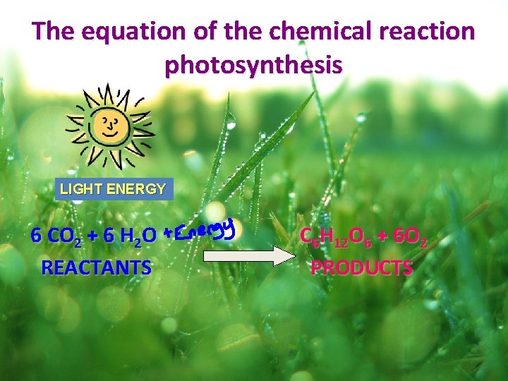 The equation of the chemical reaction photosynthesis LIGHT ENERGY 6 CO 2 + 6