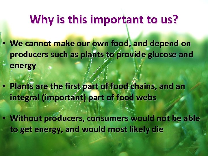 Why is this important to us? • We cannot make our own food, and