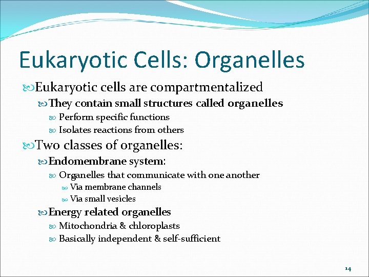 Eukaryotic Cells: Organelles Eukaryotic cells are compartmentalized They contain small structures called organelles Perform Eukaryotic Cells: Organelles Eukaryotic cells are compartmentalized They contain small structures called organelles Perform