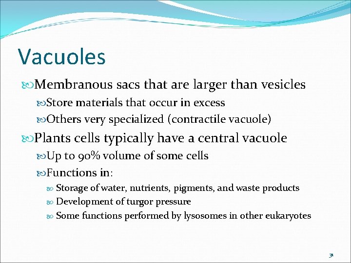 Vacuoles Membranous sacs that are larger than vesicles Store materials that occur in excess Vacuoles Membranous sacs that are larger than vesicles Store materials that occur in excess