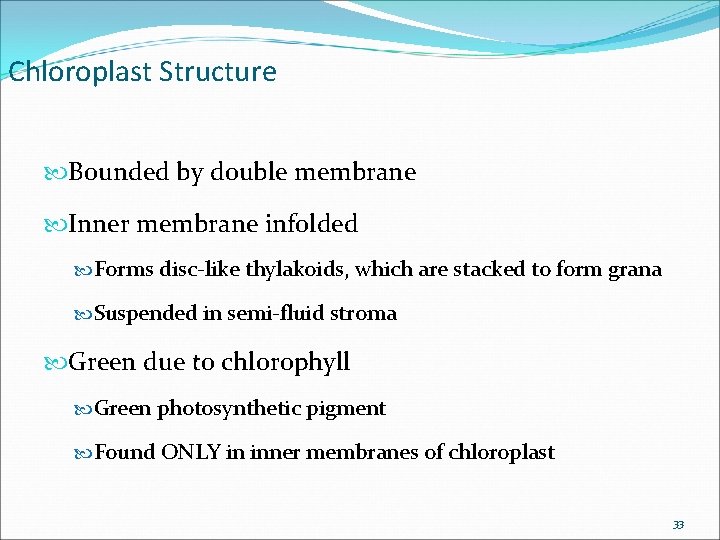 Chloroplast Structure Bounded by double membrane Inner membrane infolded Forms disc-like thylakoids, which are Chloroplast Structure Bounded by double membrane Inner membrane infolded Forms disc-like thylakoids, which are