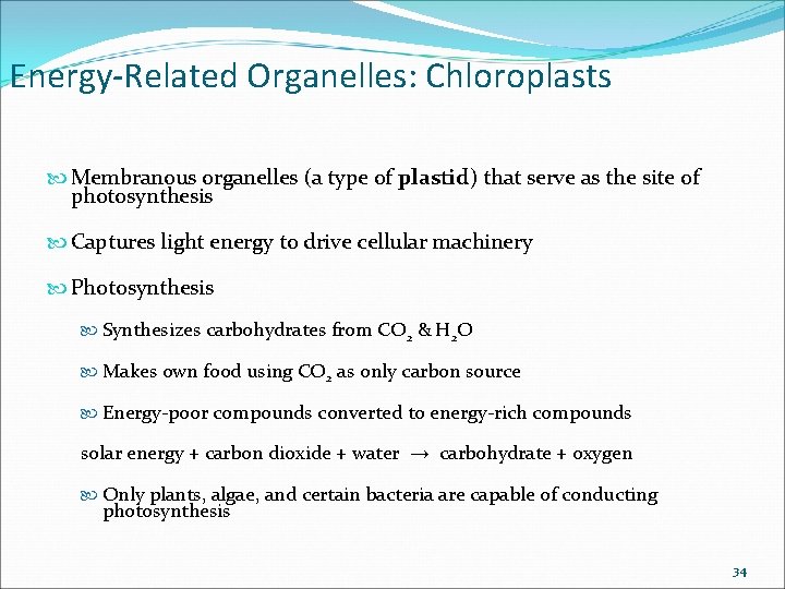 Energy-Related Organelles: Chloroplasts Membranous organelles (a type of plastid) that serve as the site Energy-Related Organelles: Chloroplasts Membranous organelles (a type of plastid) that serve as the site