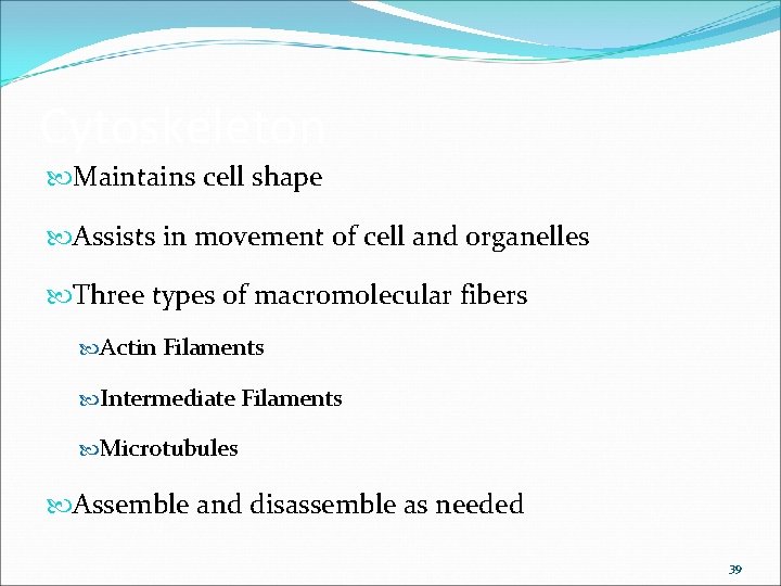 Cytoskeleton Maintains cell shape Assists in movement of cell and organelles Three types of Cytoskeleton Maintains cell shape Assists in movement of cell and organelles Three types of
