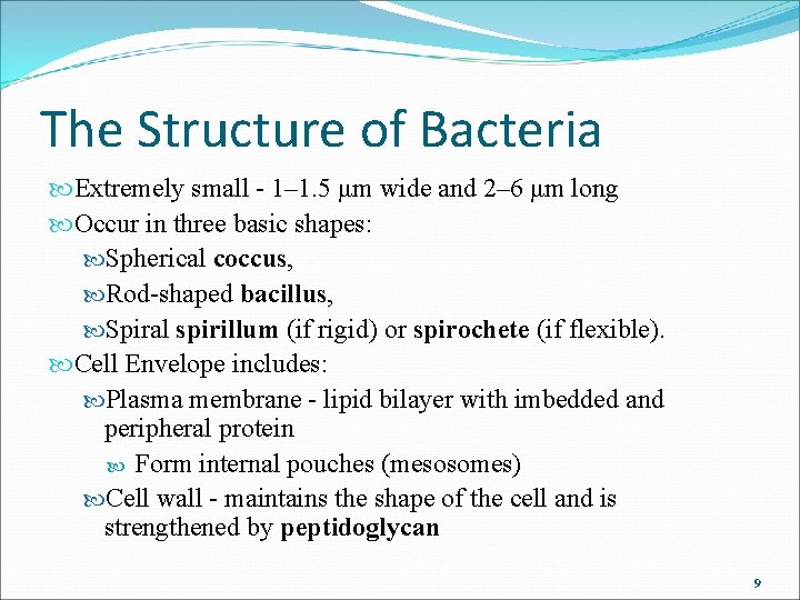 The Structure of Bacteria Extremely small - 1– 1. 5 μm wide and 2– The Structure of Bacteria Extremely small - 1– 1. 5 μm wide and 2–