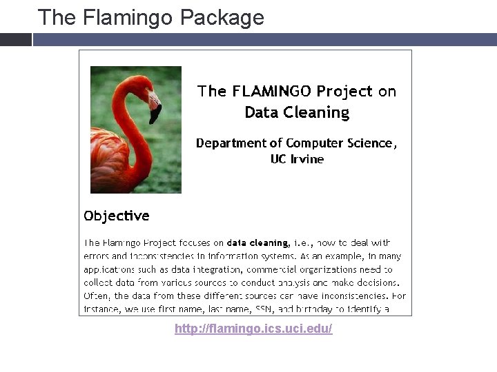 The Flamingo Package http: //flamingo. ics. uci. edu/ 