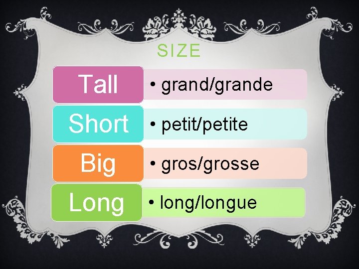 SIZE Tall Short • grand/grande • petit/petite Big • gros/grosse Long • long/longue SIZE Tall Short • grand/grande • petit/petite Big • gros/grosse Long • long/longue