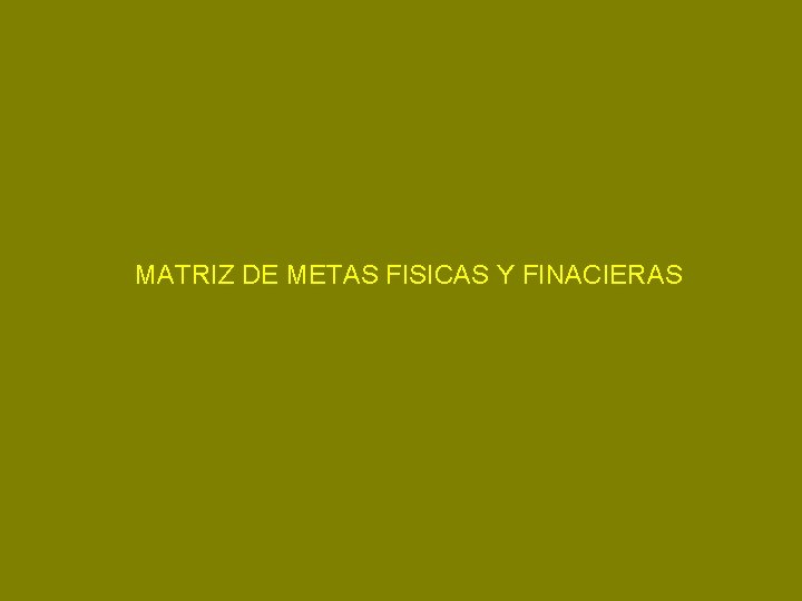 MATRIZ DE METAS FISICAS Y FINACIERAS 