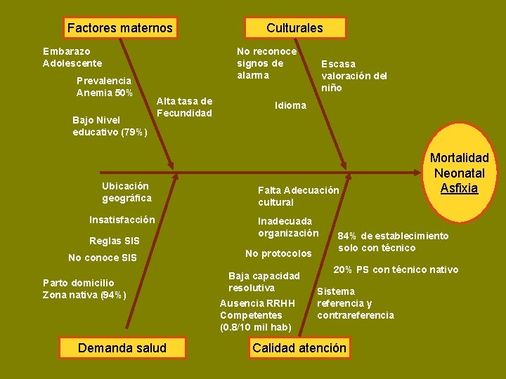 Factores maternos Embarazo Adolescente Prevalencia Anemia 50% Bajo Nivel educativo (79%) Culturales No reconoce