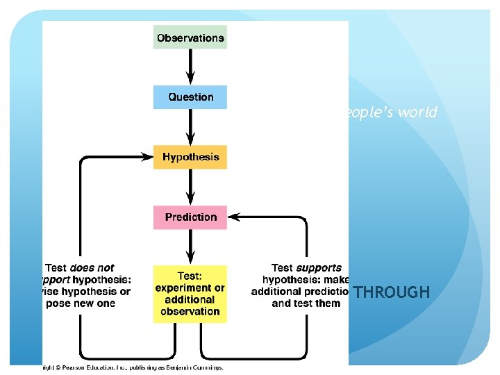 Philosophy & Reason How did the Scientific Revolution change people’s world view? IV. REASON