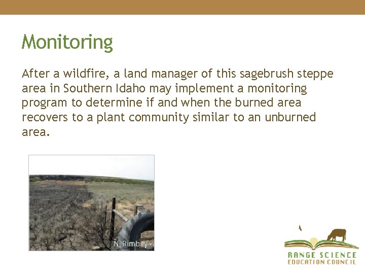 Monitoring After a wildfire, a land manager of this sagebrush steppe area in Southern Monitoring After a wildfire, a land manager of this sagebrush steppe area in Southern