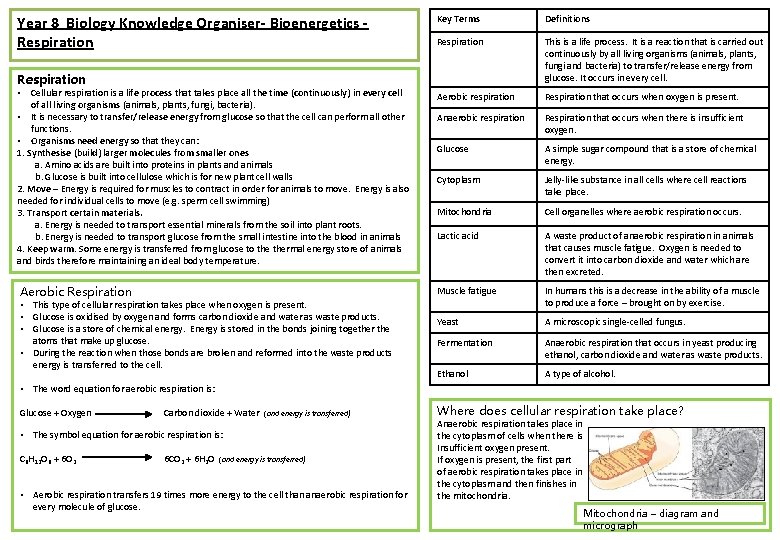 Year 8 Biology Knowledge Organiser- Bioenergetics Respiration Key Terms Definitions Respiration This is a