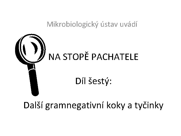 Mikrobiologický ústav uvádí L NA STOPĚ PACHATELE Díl šestý: Další gramnegativní koky a tyčinky