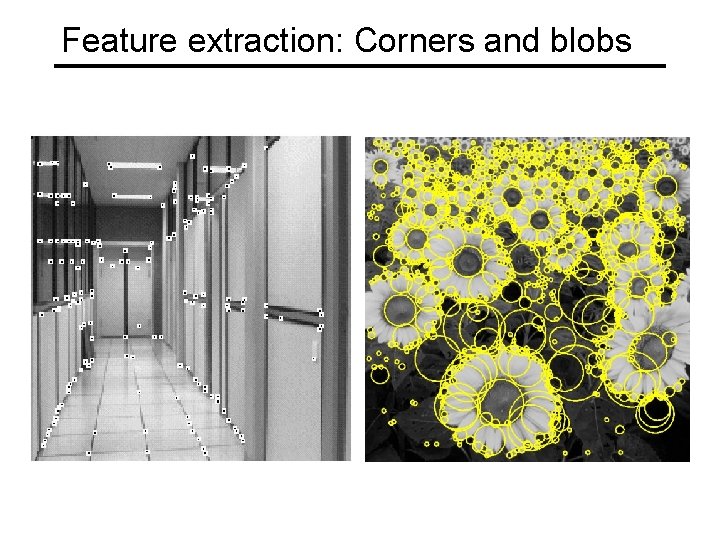 Feature extraction: Corners and blobs 