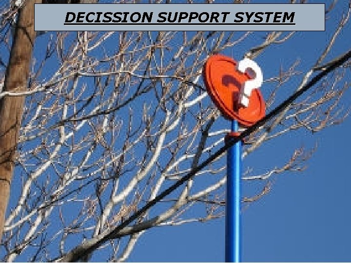 DECISSION SUPPORT SYSTEM 