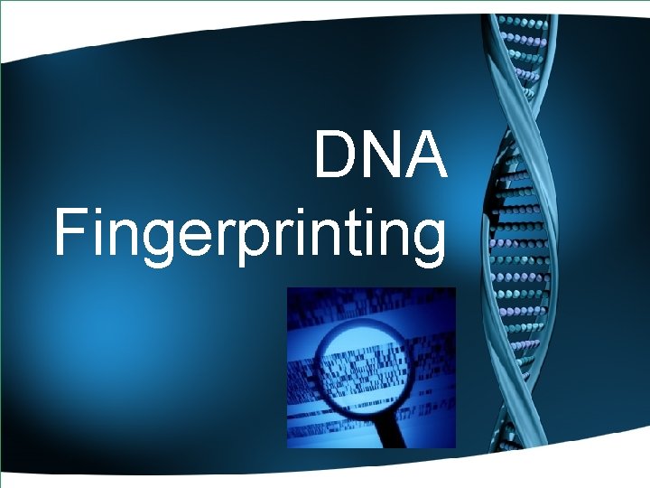 DNA Fingerprinting 