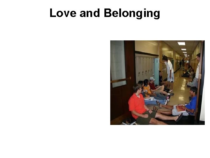 Love and Belonging 