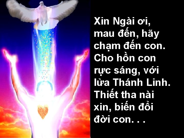 Xin Ngài ơi, mau đến, hãy chạm đến con. Cho hồn con rực sáng,