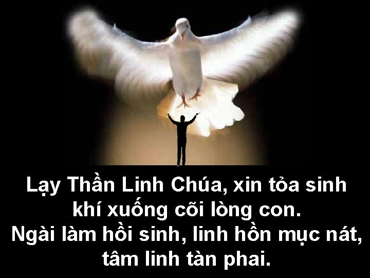 Lạy Thần Linh Chúa, xin tỏa sinh khí xuống cõi lòng con. Ngài làm