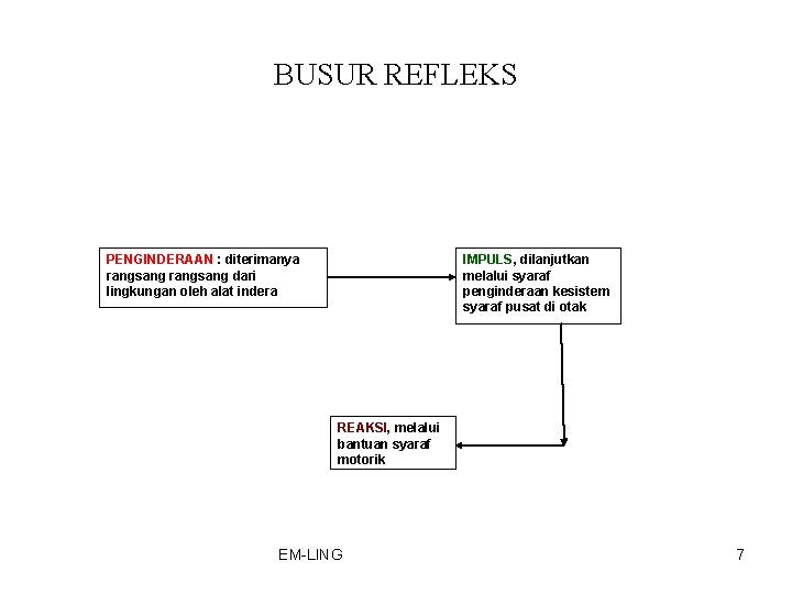 BUSUR REFLEKS PENGINDERAAN : diterimanya rangsang dari lingkungan oleh alat indera IMPULS, dilanjutkan melalui