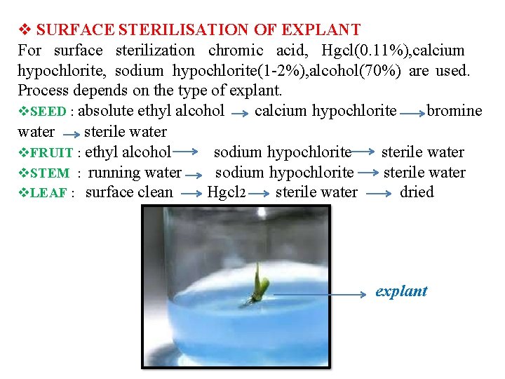  SURFACE STERILISATION OF EXPLANT For surface sterilization chromic acid, Hgcl(0. 11%), calcium hypochlorite,