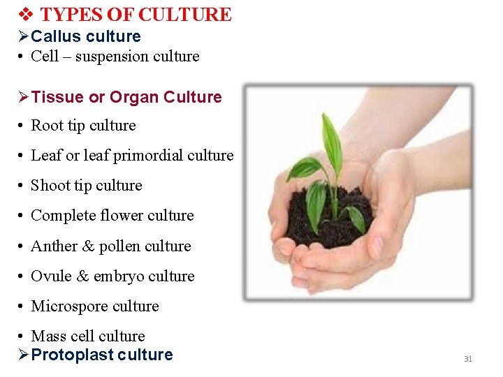  TYPES OF CULTURE Callus culture • Cell – suspension culture Tissue or Organ