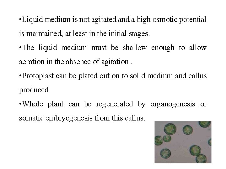  • Liquid medium is not agitated and a high osmotic potential is maintained,