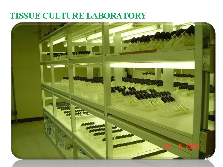 TISSUE CULTURE LABORATORY 63 