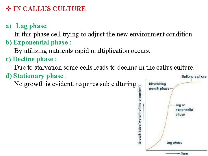  IN CALLUS CULTURE a) Lag phase: In this phase cell trying to adjust