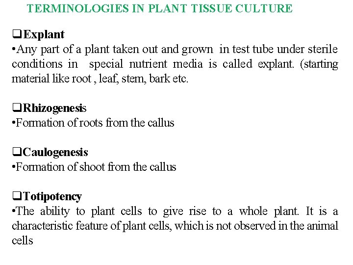 TERMINOLOGIES IN PLANT TISSUE CULTURE Explant • Any part of a plant taken out