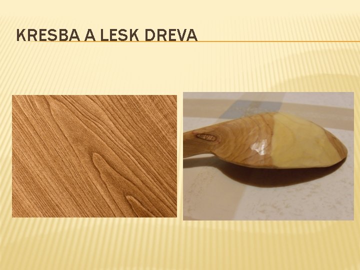 KRESBA A LESK DREVA 