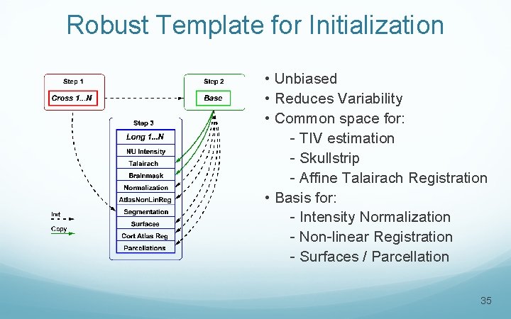 Robust Template for Initialization • Unbiased • Reduces Variability • Common space for: -