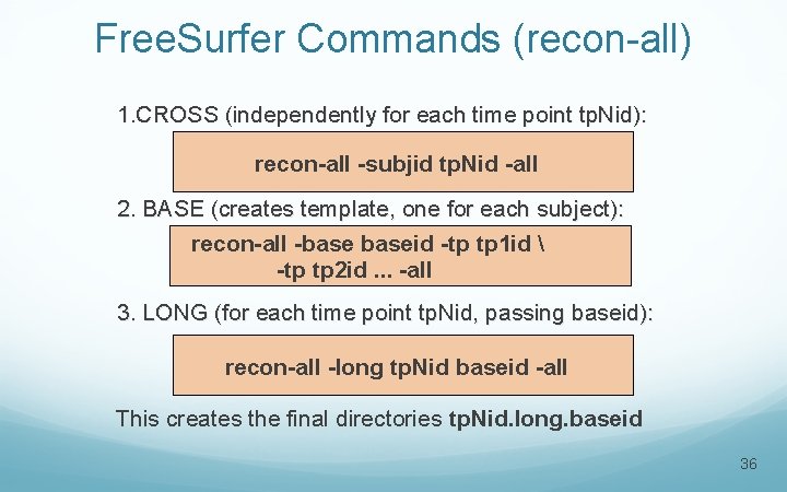 Free. Surfer Commands (recon-all) 1. CROSS (independently for each time point tp. Nid): recon-all