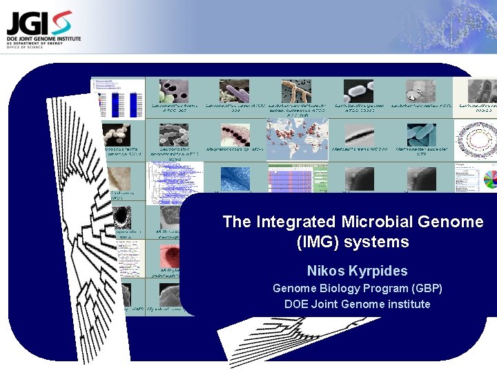 The Integrated Microbial Genome (IMG) systems Nikos Kyrpides Genome Biology Program (GBP) DOE Joint