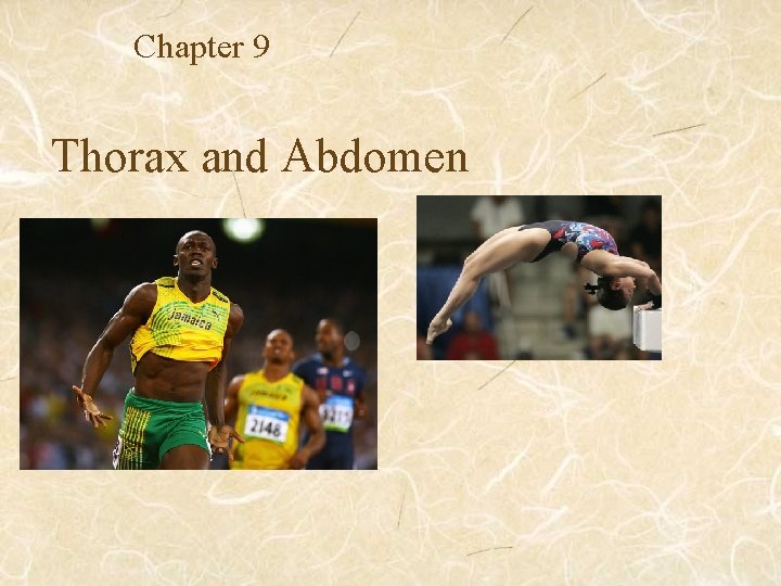 Chapter 9 Thorax and Abdomen 