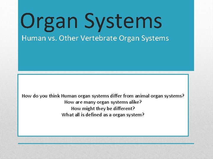 Organ Systems Human vs. Other Vertebrate Organ Systems How do you think Human organ