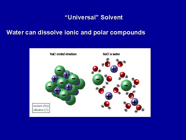 “Universal” Solvent Water can dissolve ionic and polar compounds 