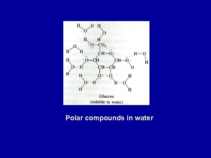 Polar compounds in water 