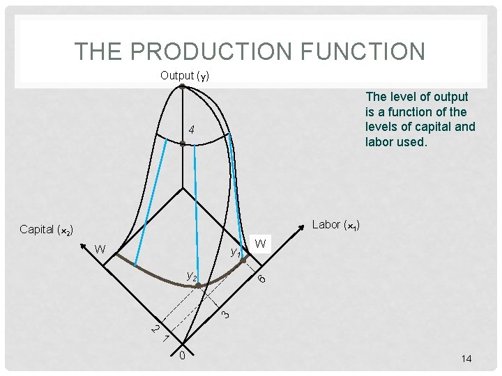 THE PRODUCTION FUNCTION Output (y) The level of output is a function of the THE PRODUCTION FUNCTION Output (y) The level of output is a function of the