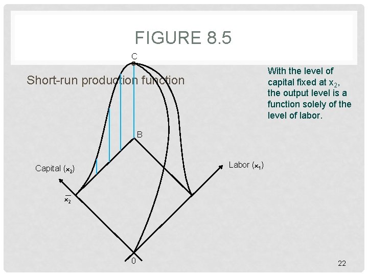 FIGURE 8. 5 C With the level of capital fixed at x 2, the FIGURE 8. 5 C With the level of capital fixed at x 2, the