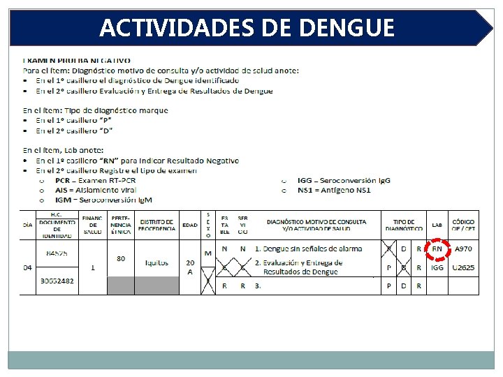 ACTIVIDADES DE DENGUE 