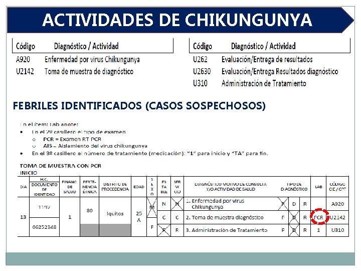 ACTIVIDADES DE CHIKUNGUNYA FEBRILES IDENTIFICADOS (CASOS SOSPECHOSOS) 