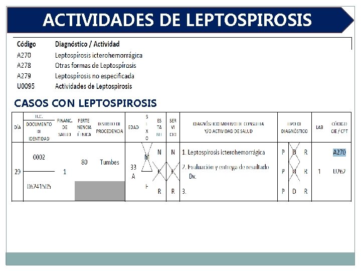 ACTIVIDADES DE LEPTOSPIROSIS CASOS CON LEPTOSPIROSIS 